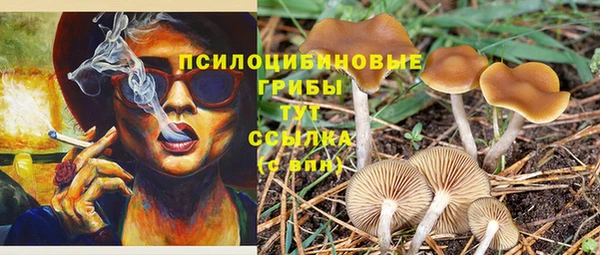 кокс Кулебаки
